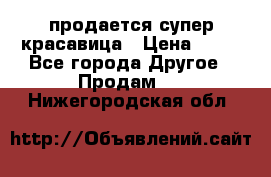 продается супер красавица › Цена ­ 50 - Все города Другое » Продам   . Нижегородская обл.